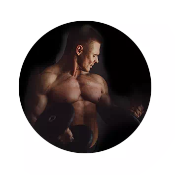 Ilustración del complejo vascular